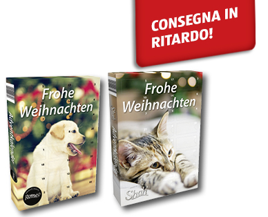 Calendario dell'Avvento per cani e gatti ROMEO/SHAH