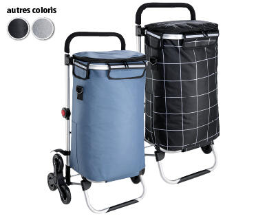 CHARIOT DE COURSES