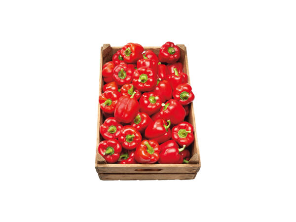 Röd paprika