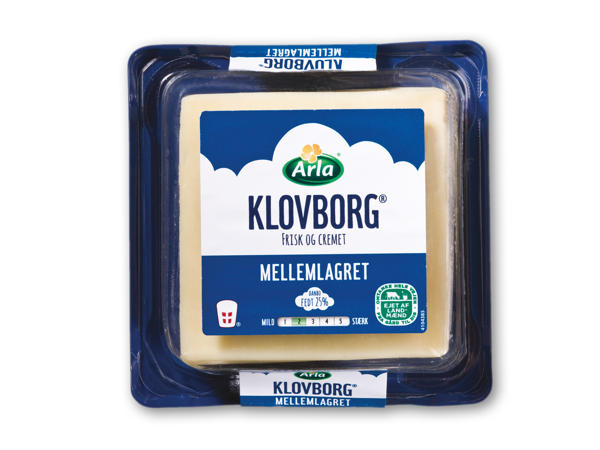 Klovborg klokke 45+