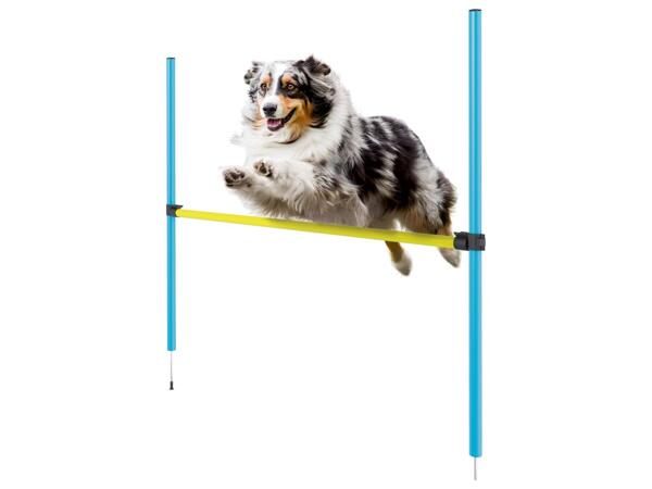 zoofari POTŘEBY PRO AGILITY