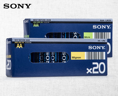 SONY Batterien Megapack