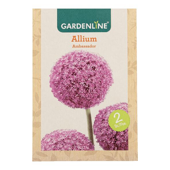 GARDENLINE(R) 				Bulbes à fleurs ail d'ornement