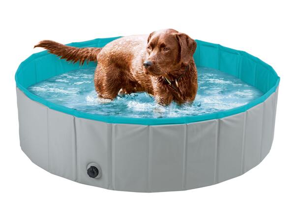 Zoofari Dog Pool