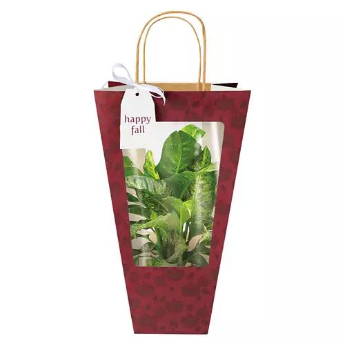 Decorated Foliage Bag - Assorted Varieties