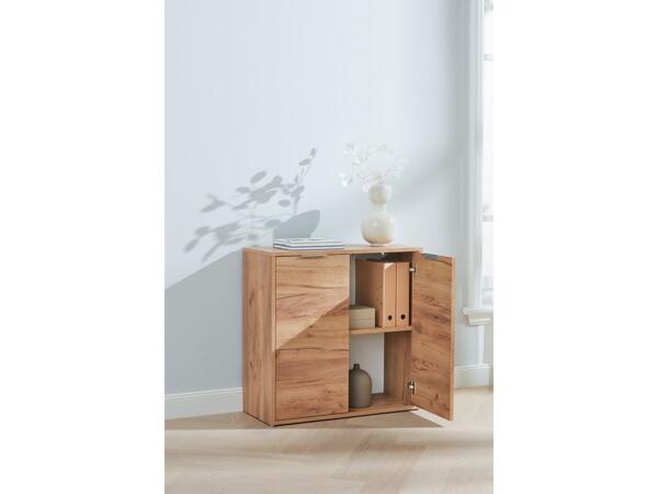 Storage cabinet with 2 doors