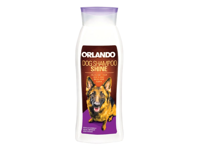 Shampooing pour chiens