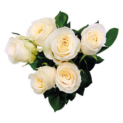 Assorted 6 Roses Bouquet