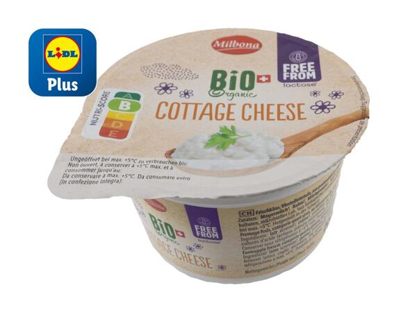 Cottage cheese bio sans lactose