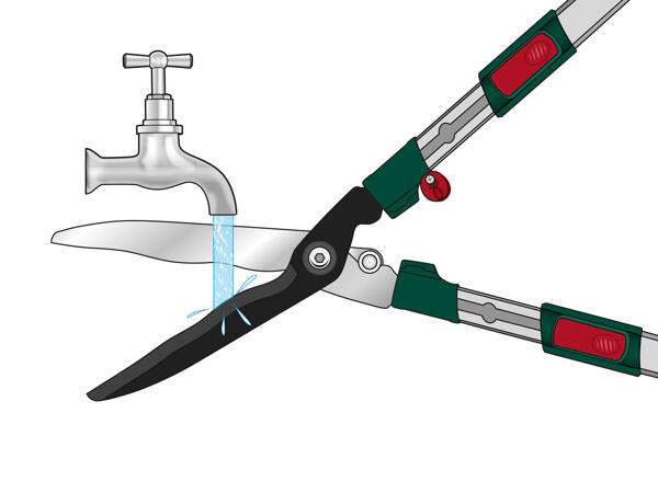 Extendable Hedge Shears
