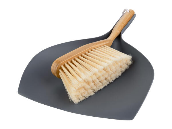 Aquapur Dustpan & Brush Set