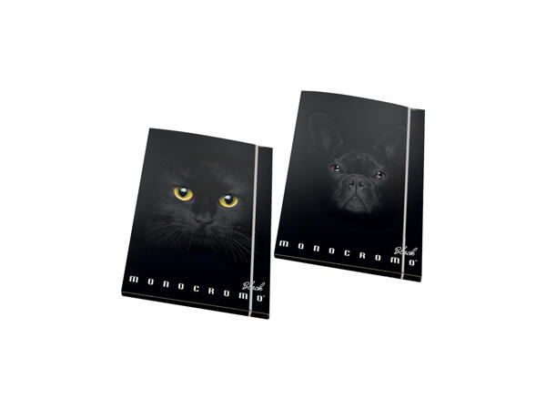 Folder 3 flaps Black & White