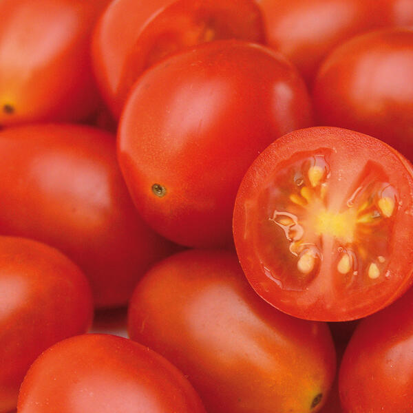 Naschtomaten Schale XXL
