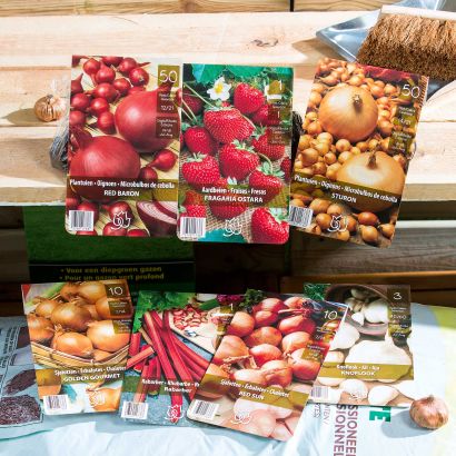 Saatset für Gemüse oder Obst