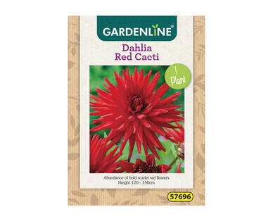 Dahlia or Gladioli Packet Bulbs