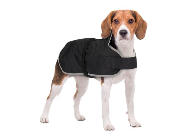 Zoofari Black Dog Coat