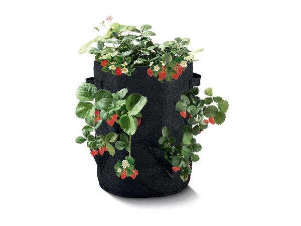 Parkside Strawberry Grow Bags - 2 pack