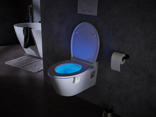 Toilet Night Light