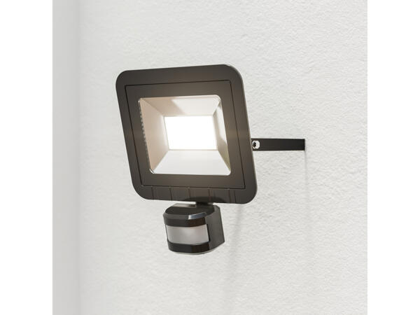 24W LED Outdoor Light