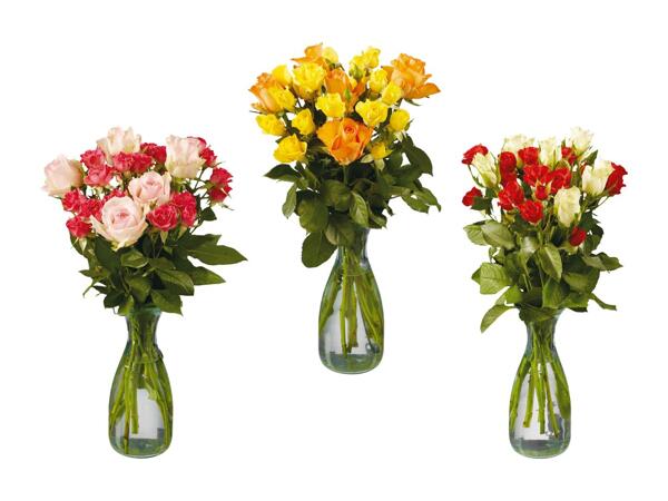 Roses en grappes Fairtrade