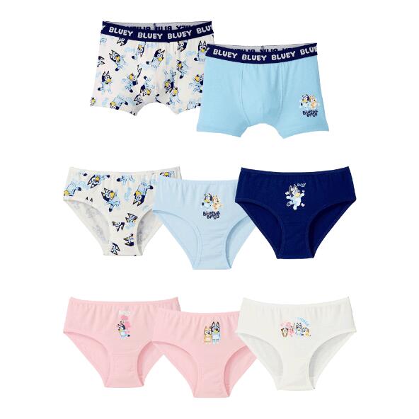 BBC STUDIOS(R) 				Boxers ou slips Bluey(R)