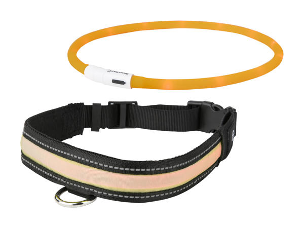 Collier à LED pour chien