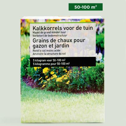 Grains de chaux