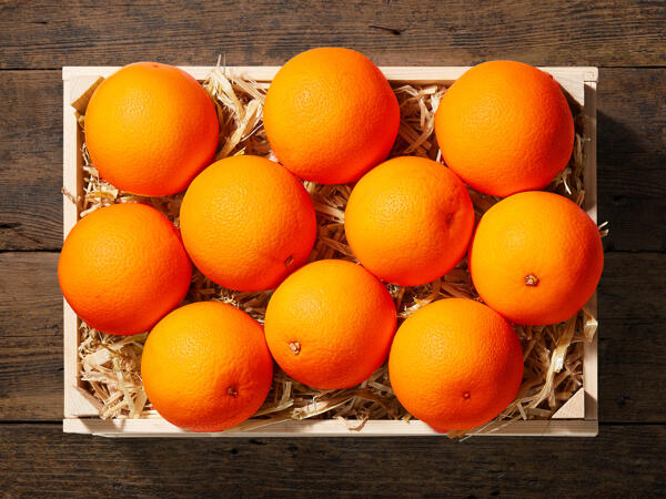 Oranges bio