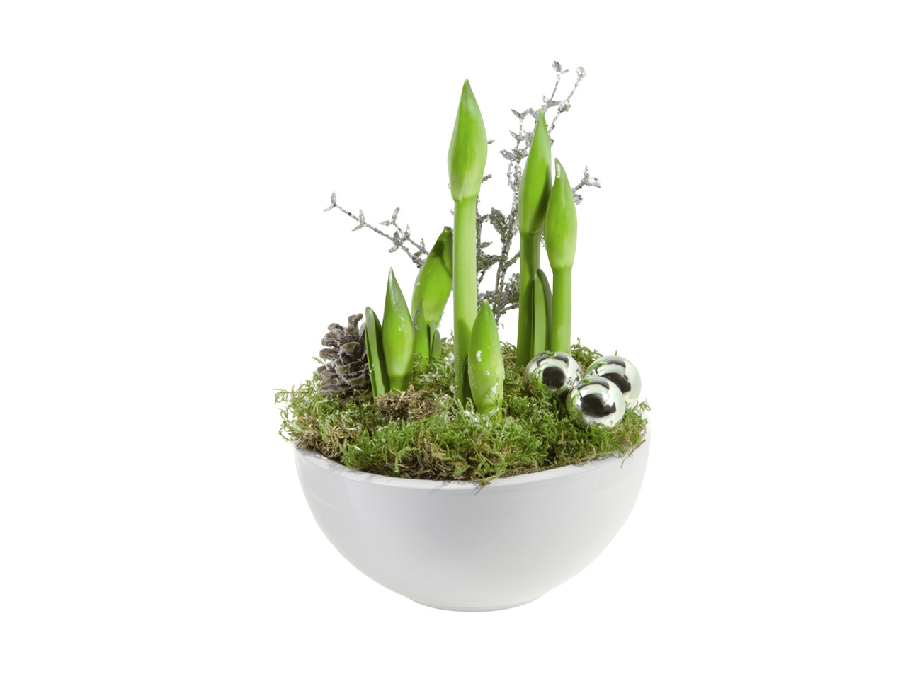 Amaryllis i keramik
