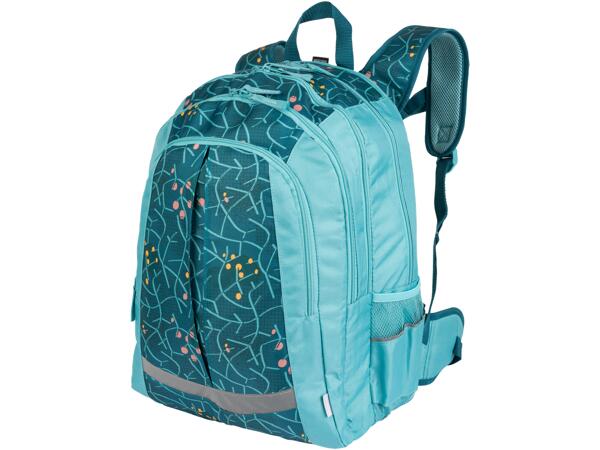 School Backpack