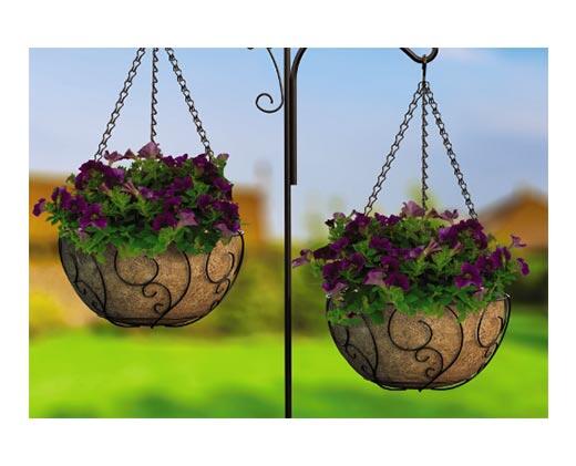 Belavi 
 14" Hanging Basket