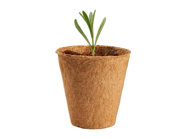 Parkside Grow Pots - 40 pack