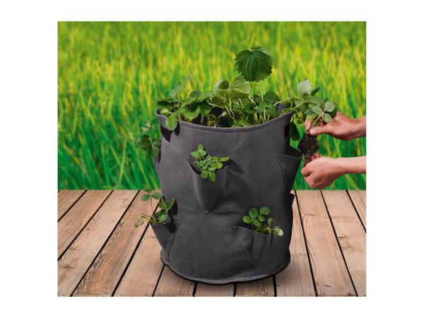 Parkside Strawberry Grow Bags - 2 Pack - Black