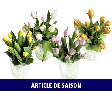 TULIPES
