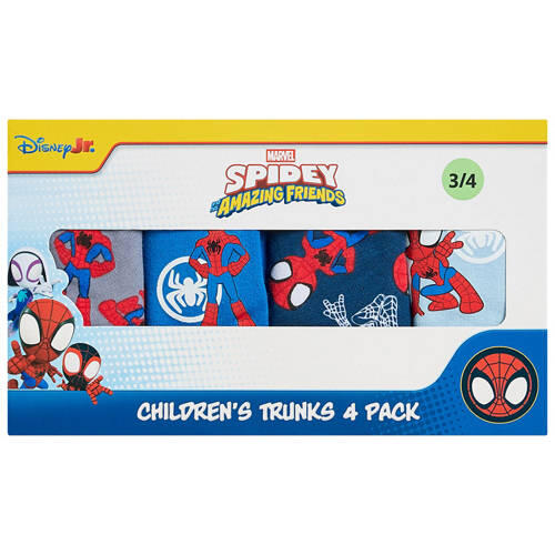 Assorted Children's Licensed Underwear