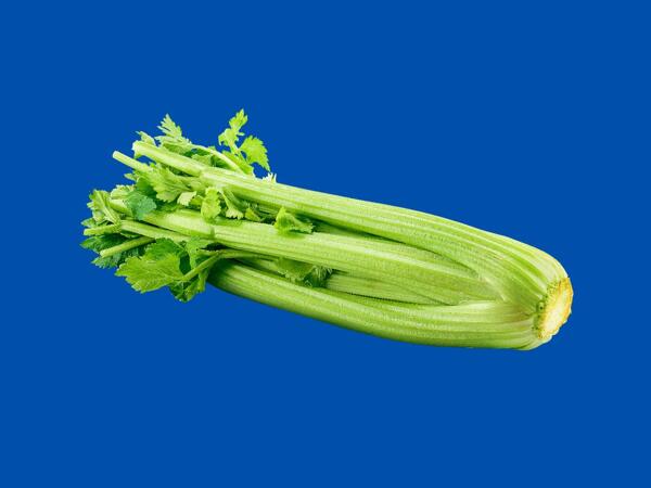 Celery