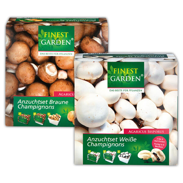Champignon Anzuchtset