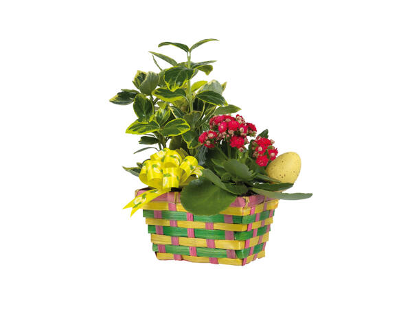 Easter Planter Basket