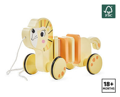 Wooden Pull-Along Toys with String
