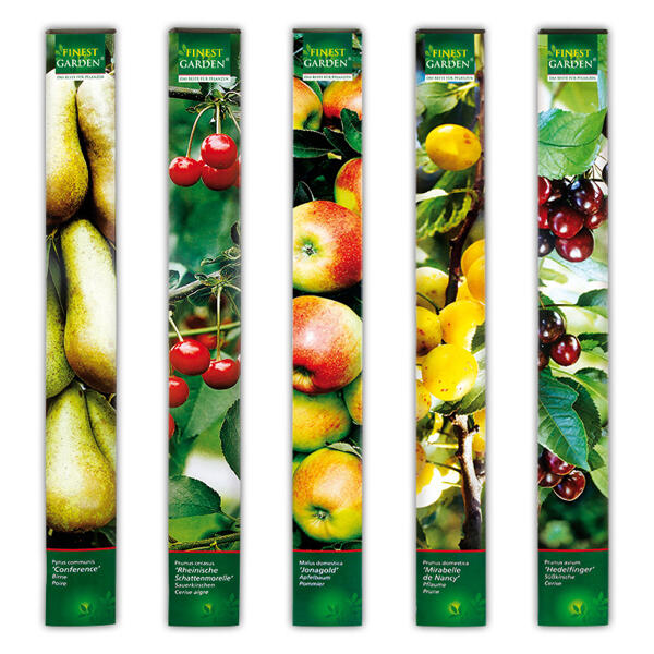 Obstbäume