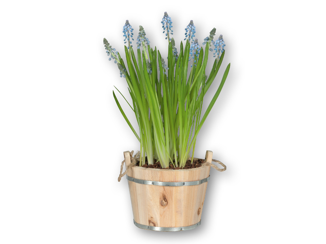 Blomsterløgmix i spand