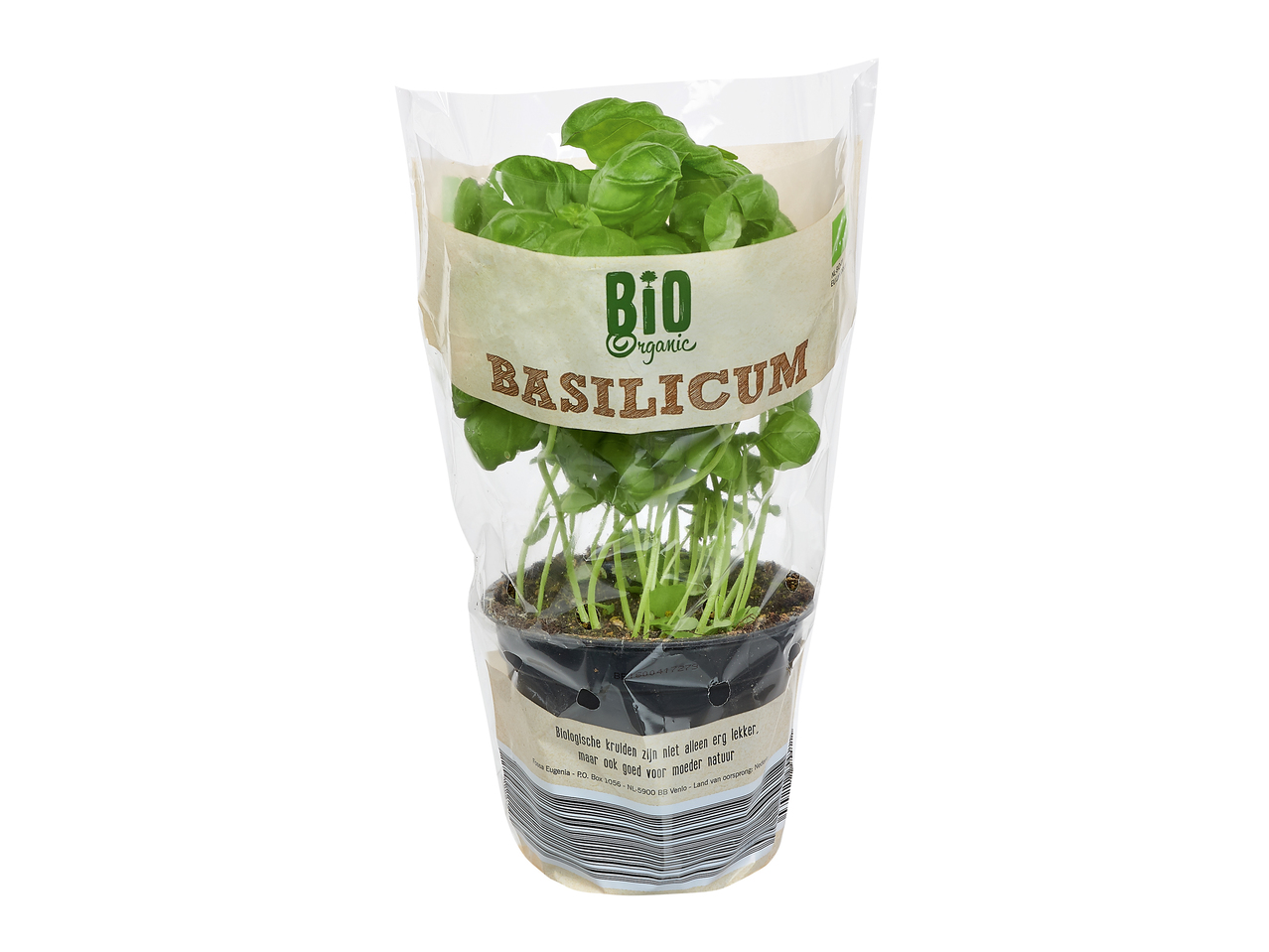 Biobasilicum