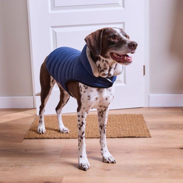 ROMEO(R) 				Hundemantel