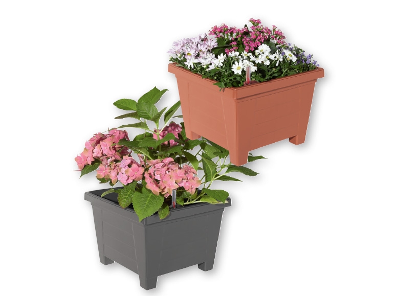 FLORABEST Self-Watering Plant Pot