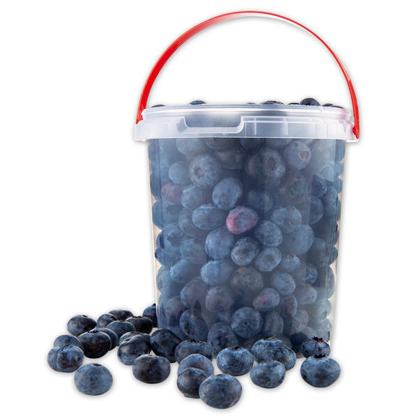 Kultur-Heidelbeeren