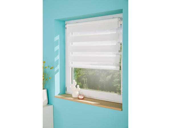 Double Roller Blind