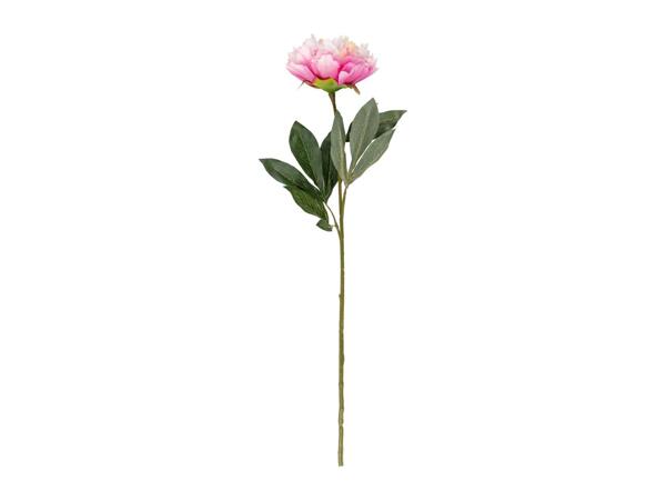 Livarno Home Artificial Flower Assortment