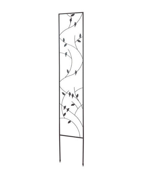 Trellis