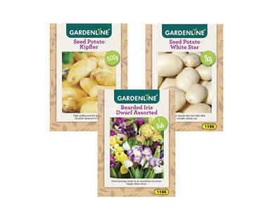 Packet Bulbs