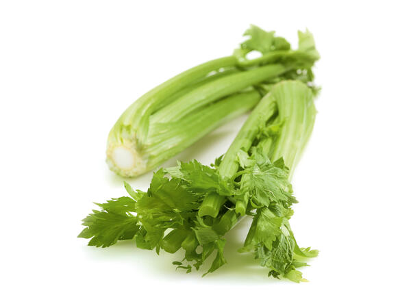 Céleri vert